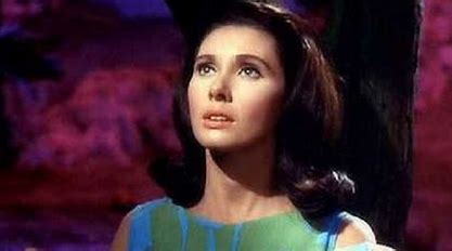 is-elinor-donahue-related-to-phil-donahue
