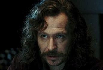 how-is-sirius-black-related-to-harry-potter