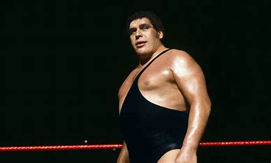 is-big-show-related-to-andre-the-giant