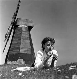 is-audrey-hepburn-related-to-katharine-hepburn