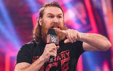 is-sami-zayn-related-to-roman-reigns