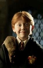 how-is-professor-weasley-related-to-ron