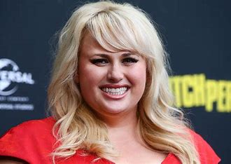 is-rebel-wilson-related-to-wilson-phillips