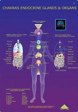 which-chakra-is-related-to-skin-problems