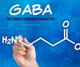 gaba-is-related-to-quizlet