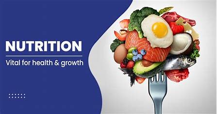 how-good-nutrition-is-related-to-the-other-components
