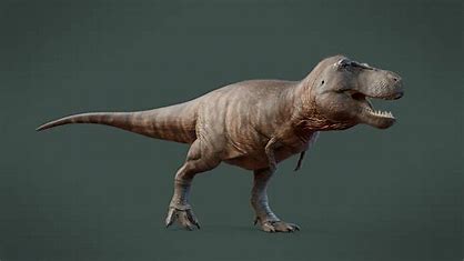 which-of-the-following-is-most-closely-related-to-t.-rex?