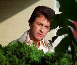 is-barbara-bixby-related-to-bill-bixby