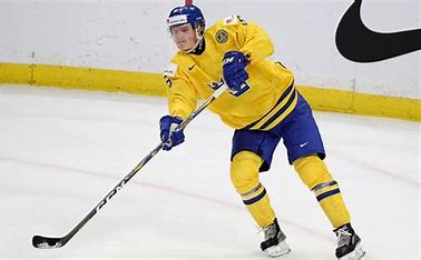 is-gustav-lindstrom-related-to-nick-lidstrom