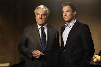 is-michael-weatherly-related-to-robert-wagner