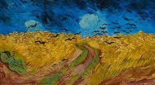 theodore-van-gogh-cause-of-death
